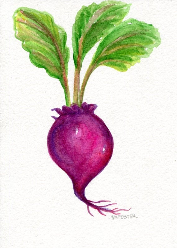 Beet watercolor painting original kitchen decor 5 x 7 beet