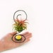 Wire Chair Air Plant Holder - Co worker office Gift -Under 25 dollars