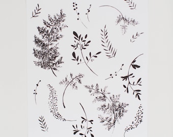 Black and White Fern Art Print - 8 x 10