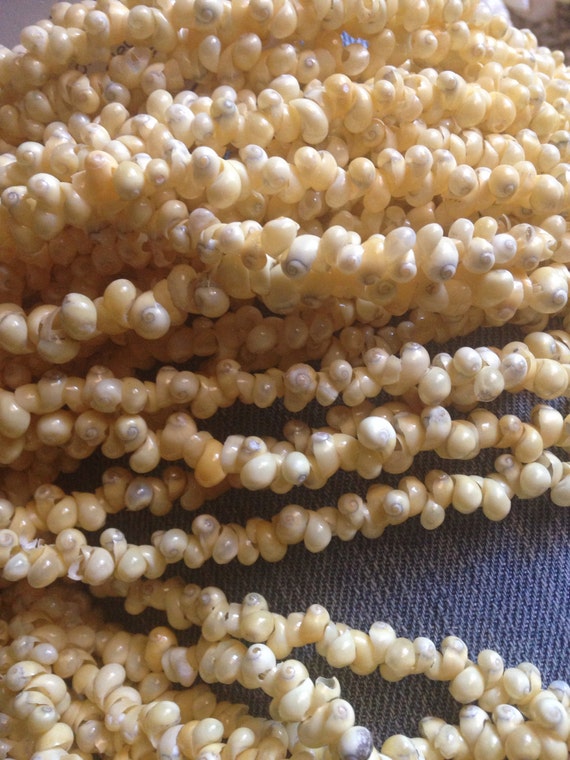 Items similar to Yellow mongo shells by the strand on Etsy