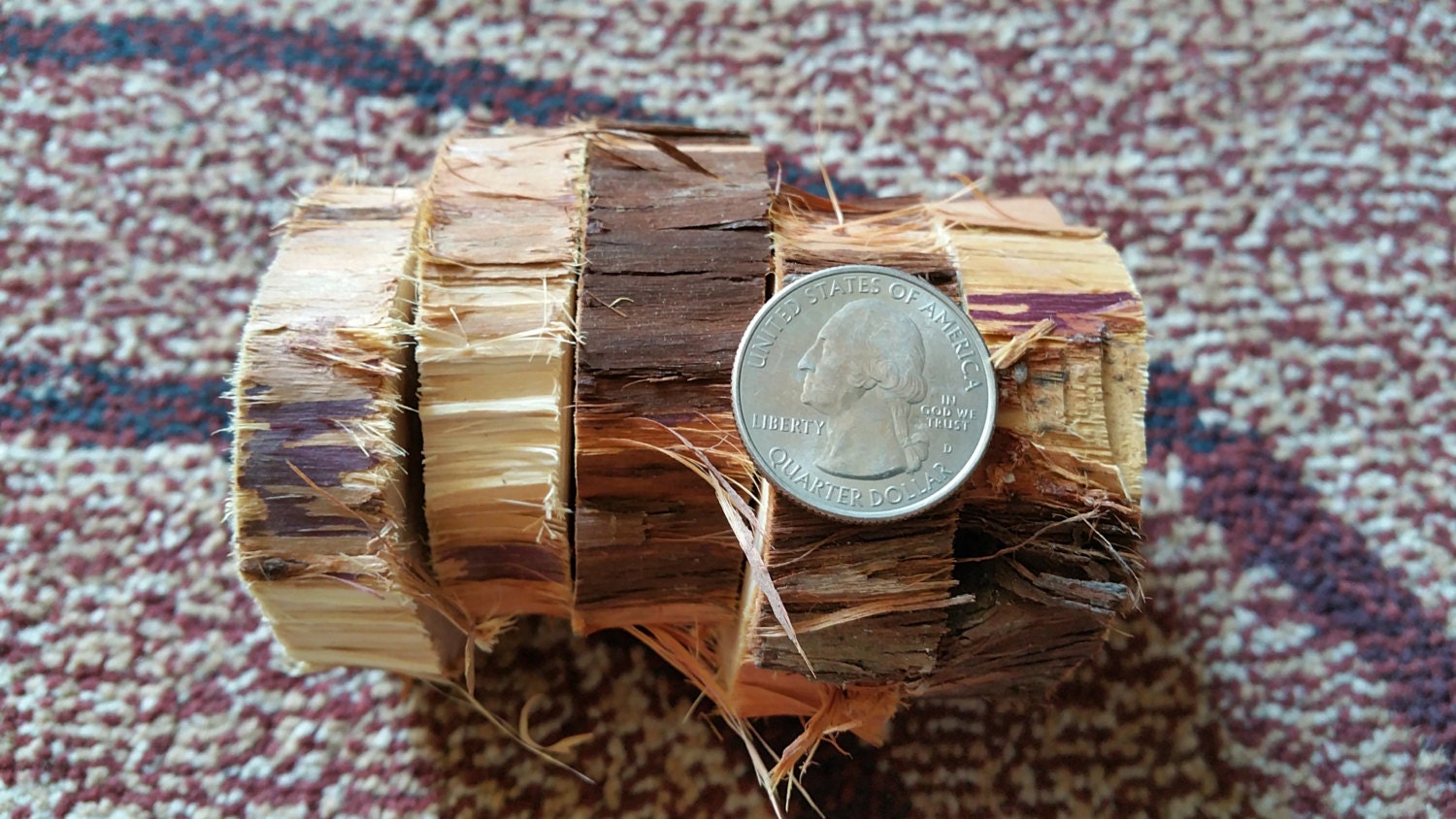 cedar slices cedar rounds wood for weddings crafts home