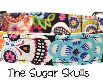 The Sugar Skulls - Dog Collar