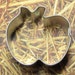 Apple mini cookie cutter for polymer clay fondant crafts decoden miniature cookies approximately 1:3 scale for 18 inch Dolls