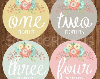 Baby Girl Month Stickers Monthly Baby Stickers, Milestone Baby Month Stickers, Monthly Bodysuit Vintage Floral Shabby Chic Cursive Script