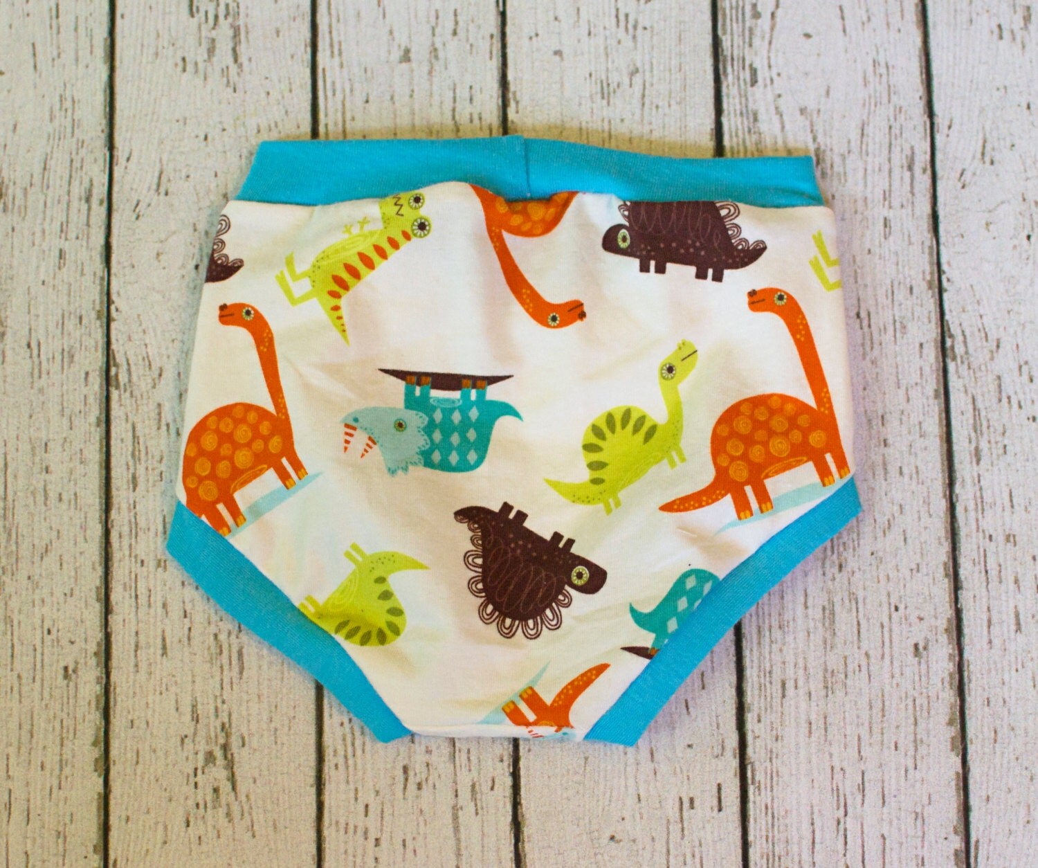 Dinosaur Underwear Girls Underwear Toddler Underwear Boys