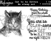 Cat to be Kitten Me Digital Stamp Set