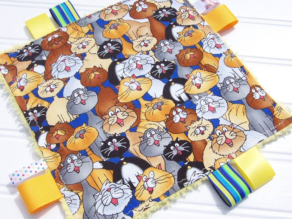 cat sensory toys