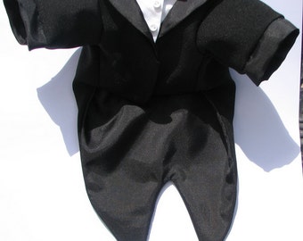 Mini dog Tuxedo