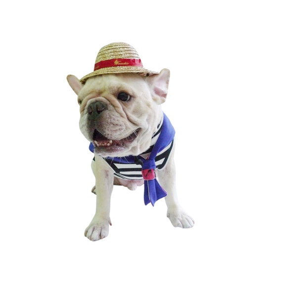 Φ FRENCHIEΦ one piece Luffy Featuring Straw Hat Cap Wheat Pet Straw Hat with French bull Dog PUG CAT Red Ribbion