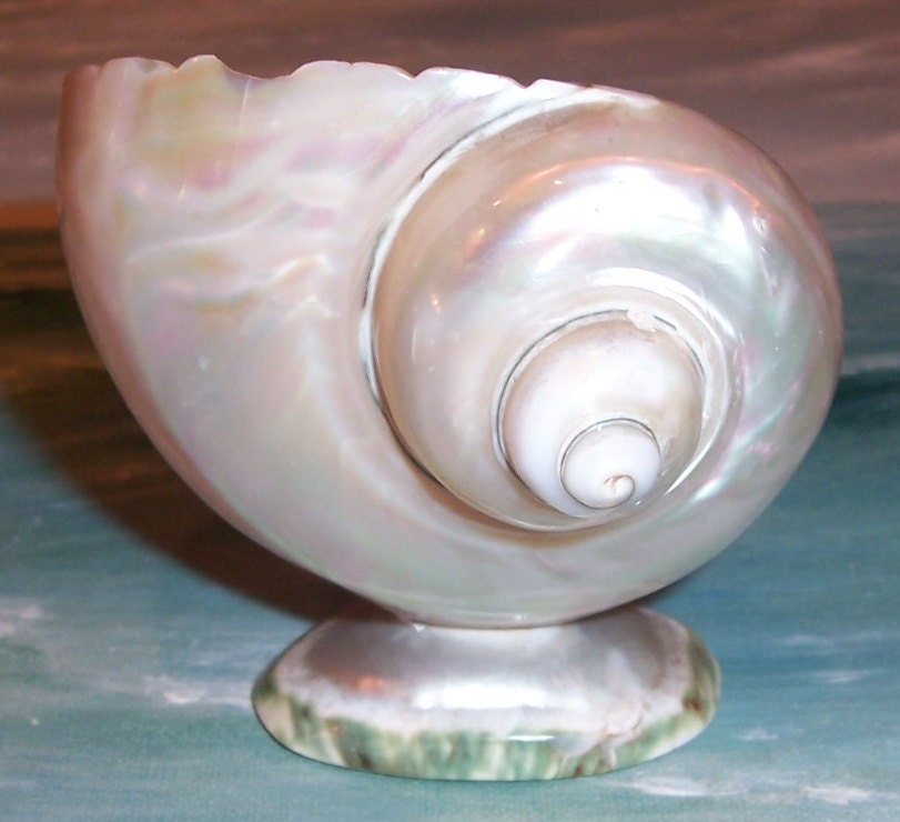 ANTIQUE, Vintage, Art Deco Mother of Pearl TURBAN Shell Salt Cellar ...