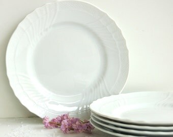 White Italian Porcelain Dinner/Luncheon Plates. Richard Ginori Bianco