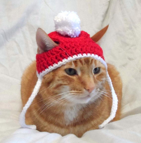 Crochet Cat Hat Christmas Santa Hat for Cats Cat Christmas