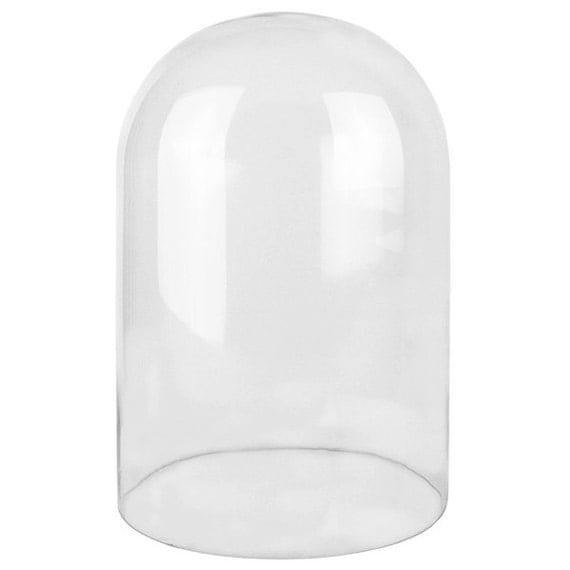 Glass Cloche Bell Dome with 15 inches Height and 10 inches