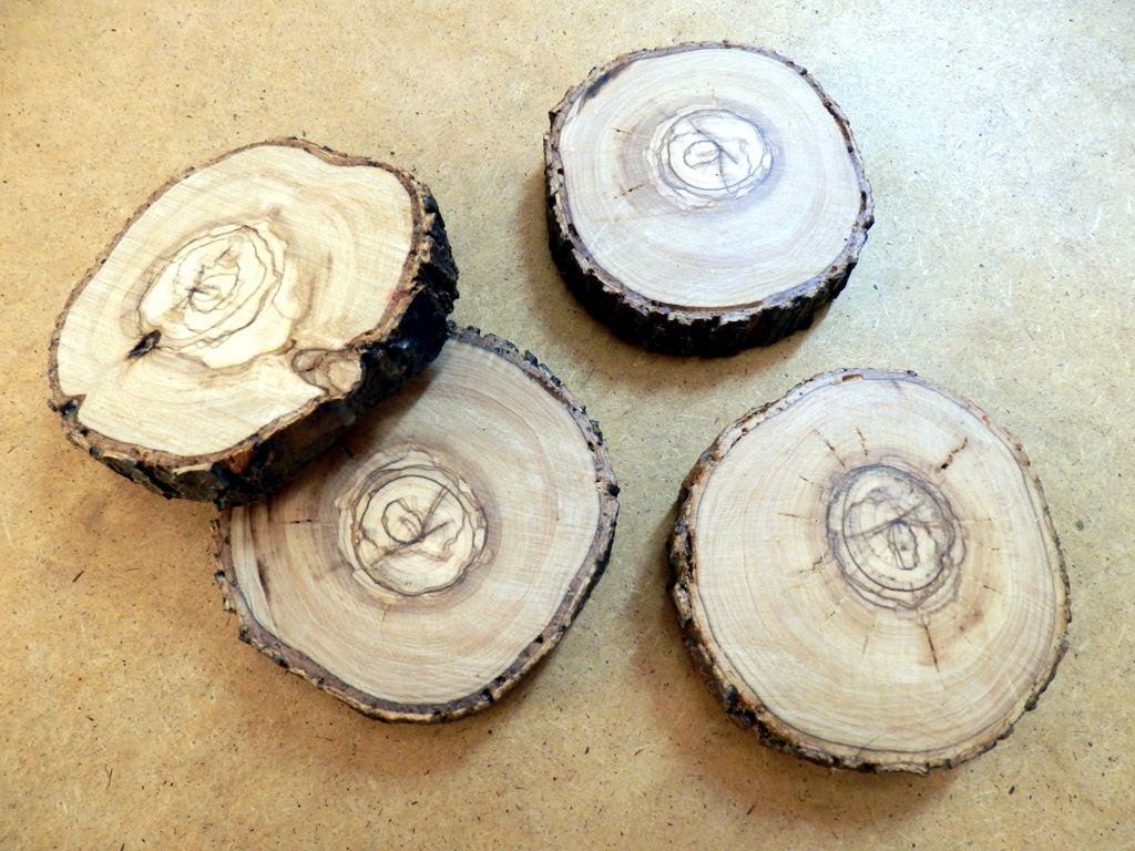 Wooden coasters Tree trunk slices Rustic Home Decor