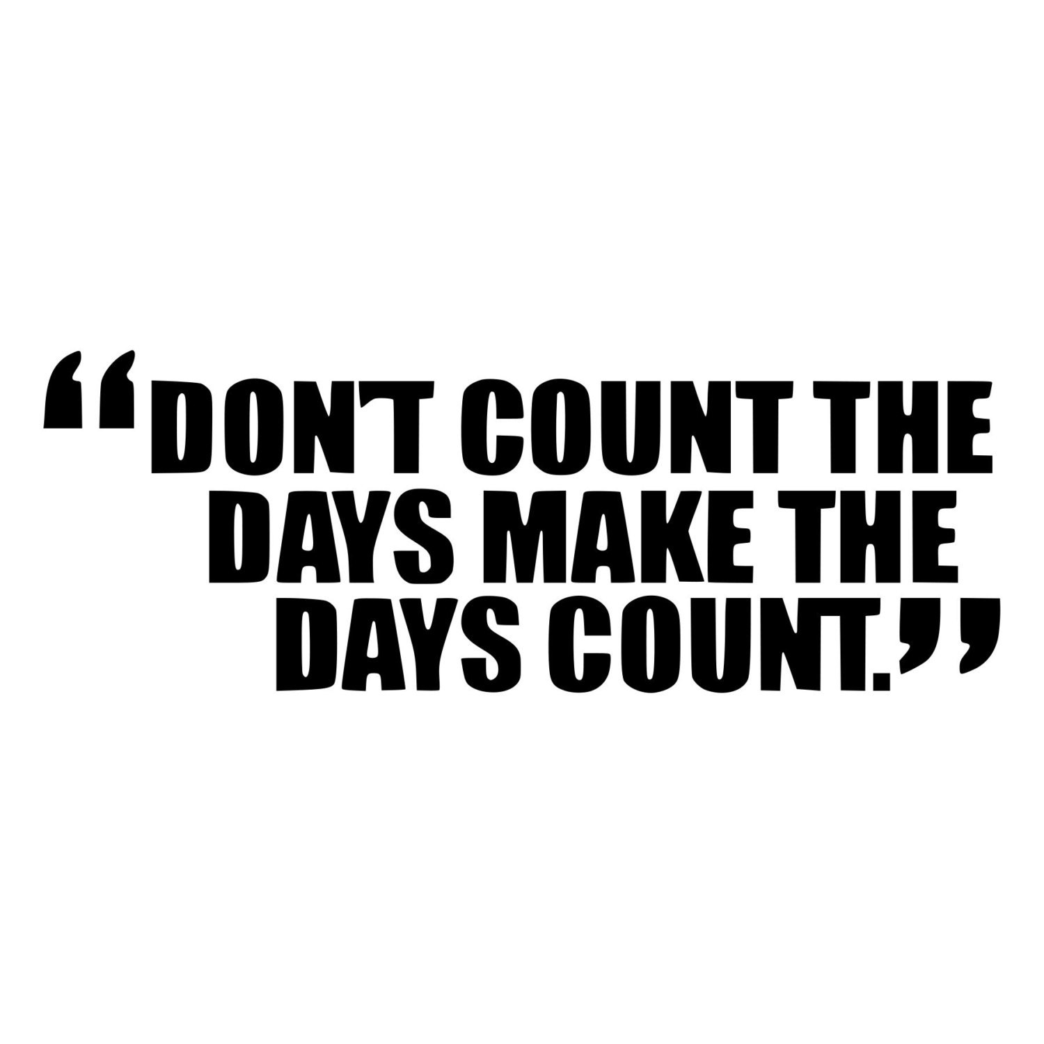 Make The Days Count Inspirational Quote Die-Cut Decal Car