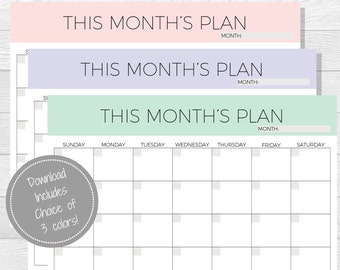 Monthly Planner Printable - 2017 Planner - Monthly Planner pdf - Printable Organizer - Monthly Organizer - 2017 Monthly Planner - Undated
