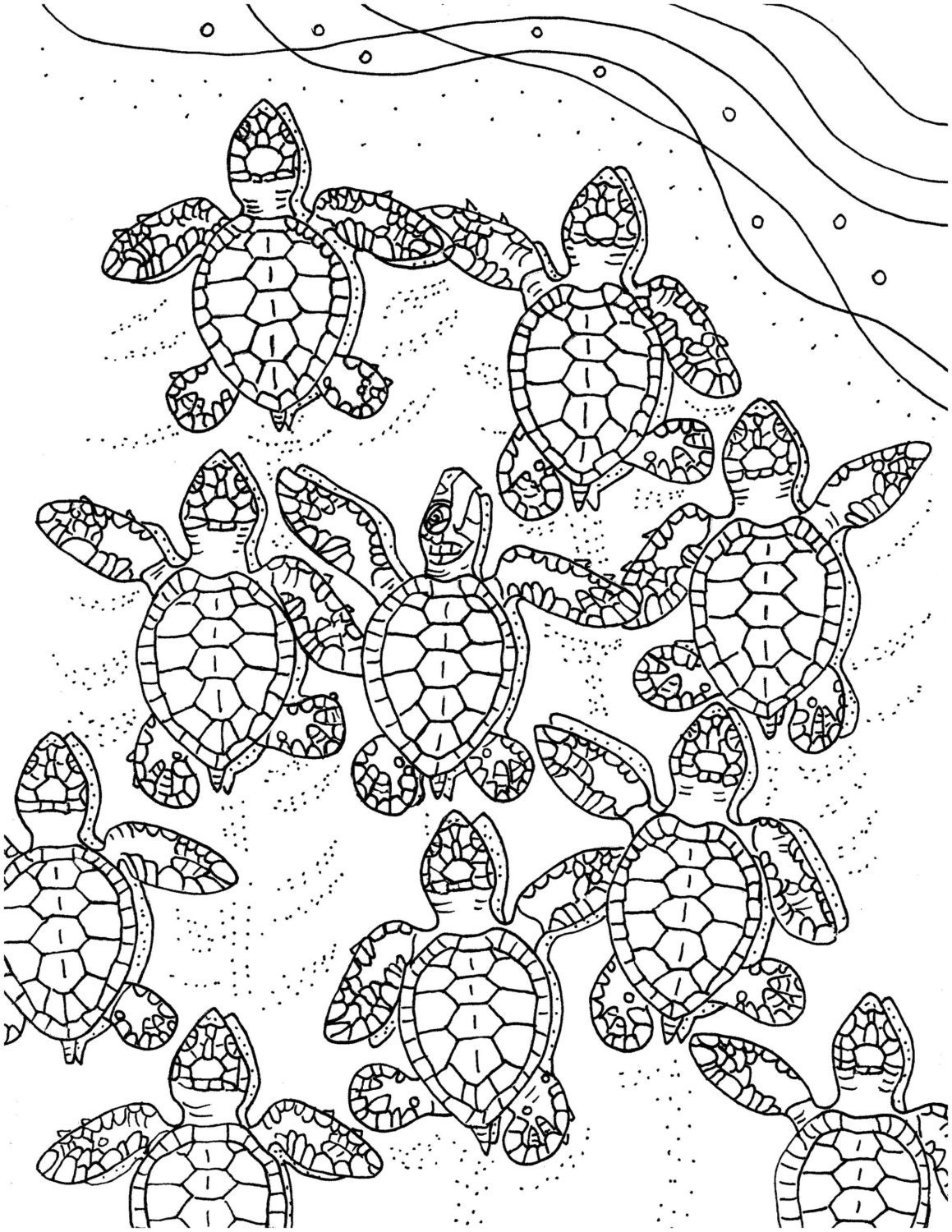 Baby Sea Turtles Coloring Page Embroidery Pattern Sea
