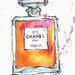 Chanel perfume bottle illustration