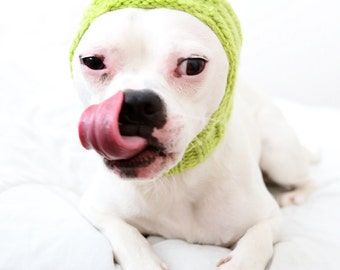 Frog Dog Hat - Pug Hat - French Bulldog Hat - Dog Costume - Dog Clothing - Pet Accessories - Dog Lover Gift