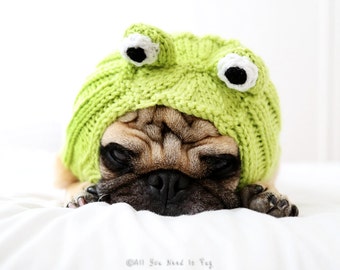 Dog Hat - Frog Hat - Dog Clothing - Dog Costume - Pet Apparel - Frog Dog - Pet Lover Gift