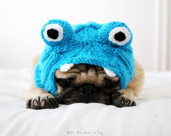 Little Monster Dog Hat - Pug Hat - Dog Costume - Dog Clothing - Pet Accessories - Winter Dog Clothes