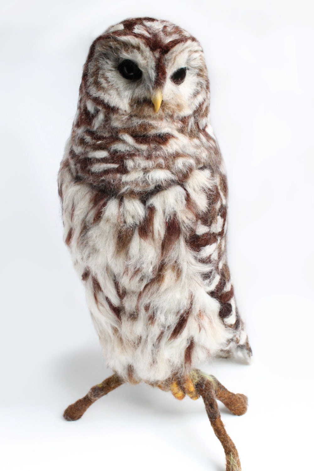 stuffed barred owl