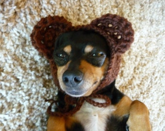 Bear Dog Hat CROCHET PATTERN Crochet Dog Hat Pattern Crochet Dog Costume Pattern Crochet Dog Supplies Pattern Crochet Dog Accessories Cute