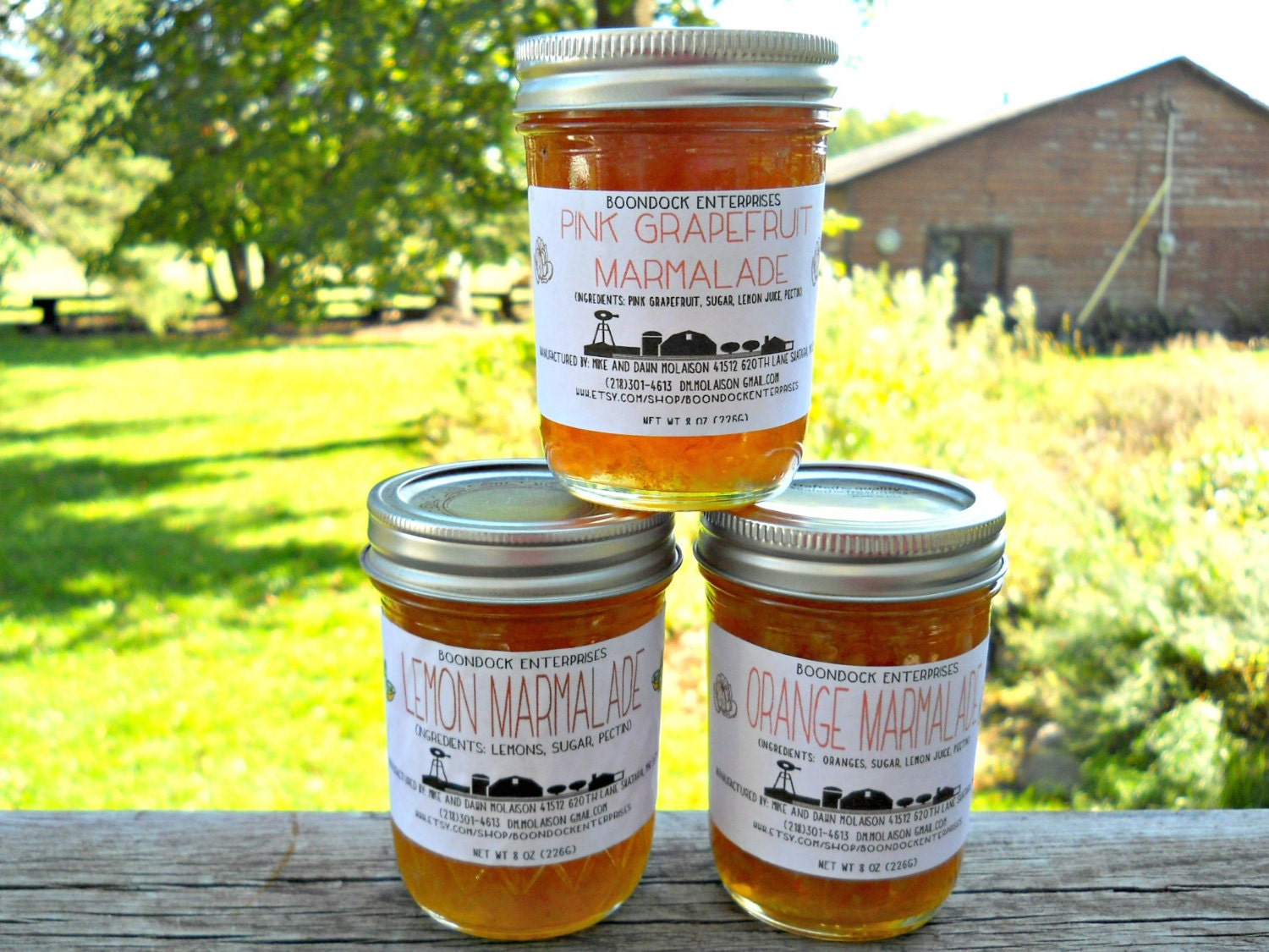 Citrus Marmalade Flavors Lot of 3 Orange Marmalade Lemon