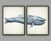 Blue Whale Watercolor Wall Art Poster Set Of 2 - Whale Art Print - Blue ...