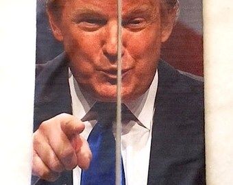 Donald Trump Sock | Trump Socks | USA Socks | Republican Socks | Mens Novelty Socks | Womens Novelty Socks | Crew Socks