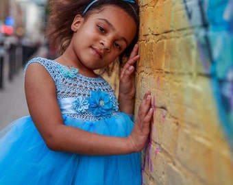 Cinderella dress Tutu, Princess Cinderella, Cinderella Costume, Cinderella Party, Cinderella Blue dress, Disney Cinderella