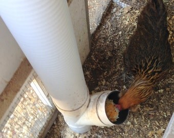gravity feeder for chickens gravity feeder for chickens