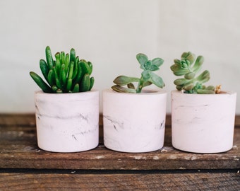 Set of 3 blush marble cement mini planters