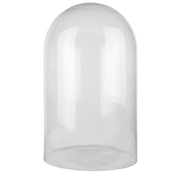 Glass Cloche Bell Dome With 19.5 Inches Height And 12 Inches