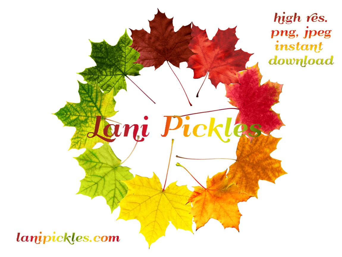 Fall Leaves Color Wheel Clip Art DIY Instant Download