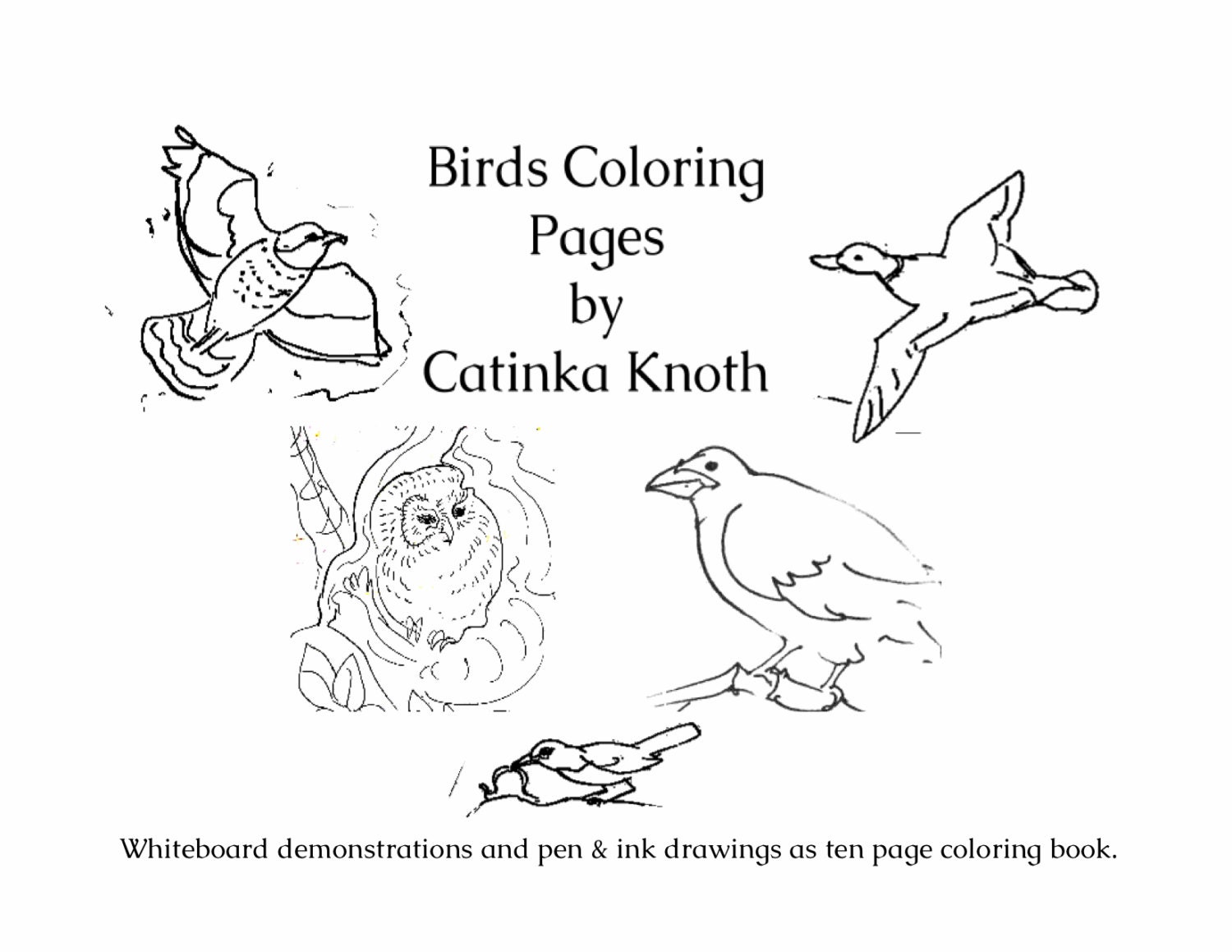 Download Birds Coloring 10 page pdf book hummingbirds orioles by ...