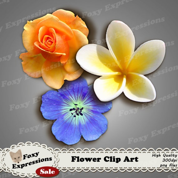 clipart giving flowers - photo #47