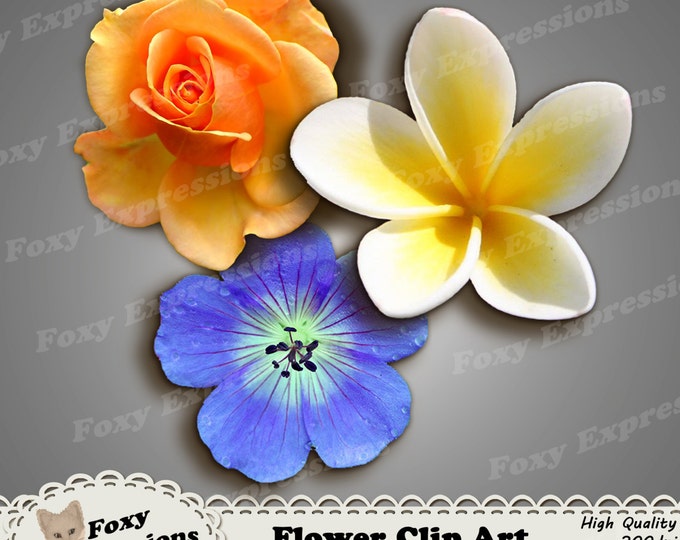 Flower Clip Art pack comes with 12 flowers in shades of red, yellow, pink, purple, blue and white. Added shadowing to give depth & layering.