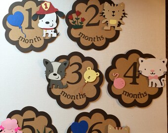 Monthly Baby Sticker , Baby Month Sticker, Milestone Sticker, Month by Month Baby Sticker, Handmade