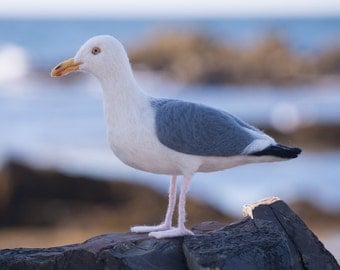 Seagull wool felted handmade bird