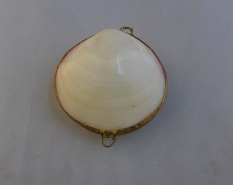 Vintage Shell Coin Purse in Excellent Condition, Great for gift or use! 2.75"D