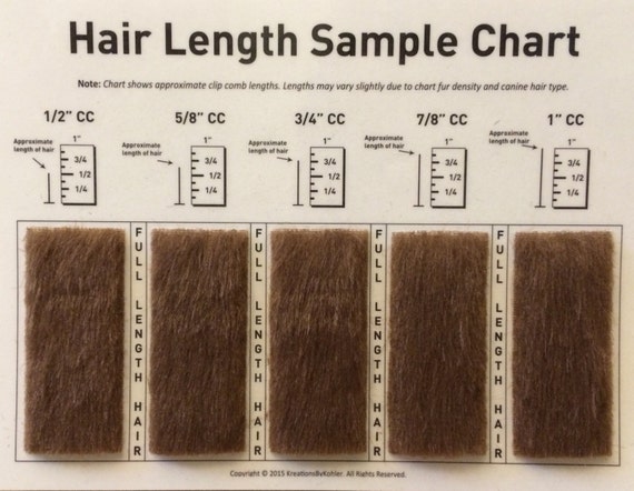 clip-comb-sample-chart-for-grooming