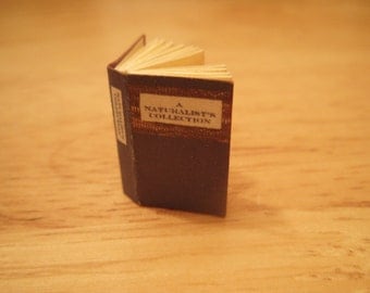 A Naturalist's Collection - readable 12th scale miniature book