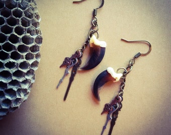 Coyote Claw Earrings, Bronze Jewelry, Bone Jewelry, Taxidermy Jewelry, Vulture Culture, Claw Jewelry, Steampunk jewelry