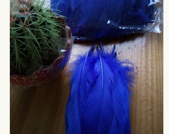 1 feather for various confections * feathers F 101
