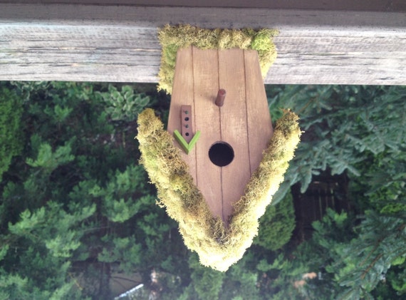 Natural Moss Roof Bird House