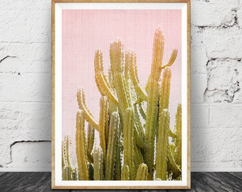 Cactus Wall Art Print, Desert Cactus Photo, South Western Decor, Cactus Print, Arizona Photography, Pink and Green Printable Art, Cactus Art