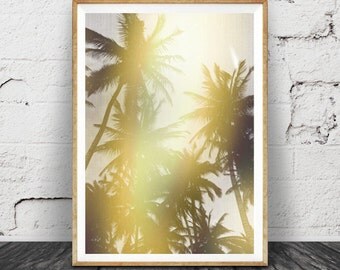 Palm Tree Print, Photography, Tropical Modern Wall Art, Tropical Decor, Palms, Palm Tree Photography Print, Grey Yellow Black Palm Tree