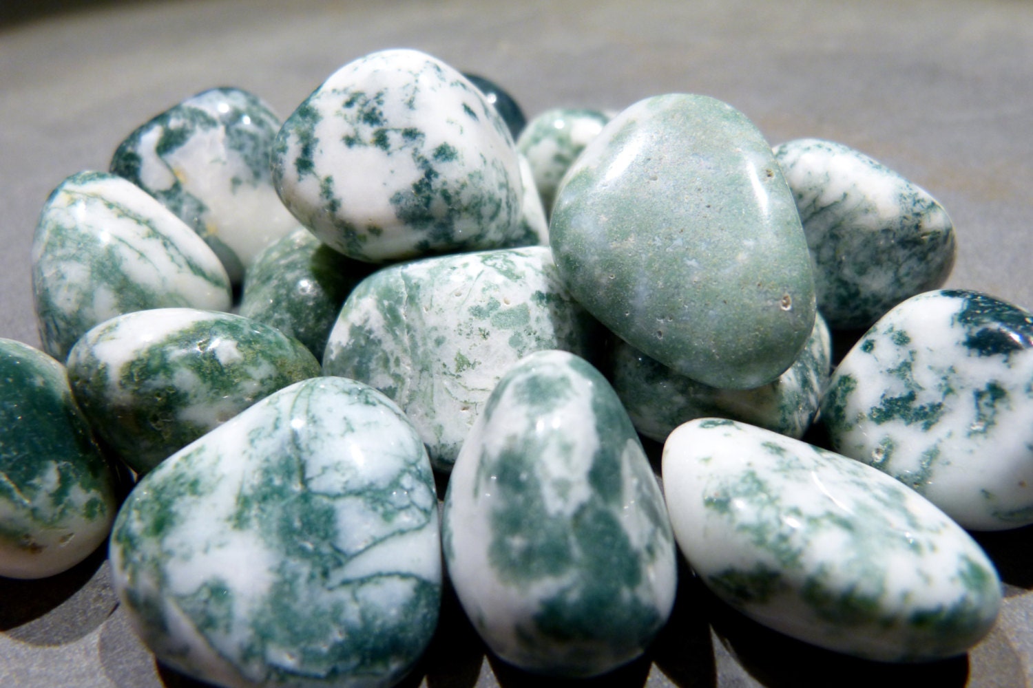 3 Dendritic Agate tumbled Tree Agate Palm Stone by HappyMinerals