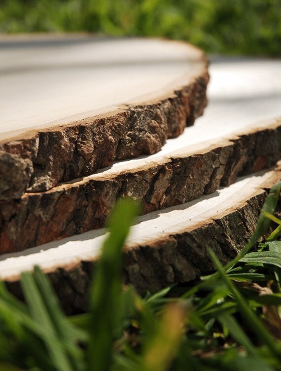 Large Tree Slice Wood Slabs 1118 Inch With by FashionSilkFlowers